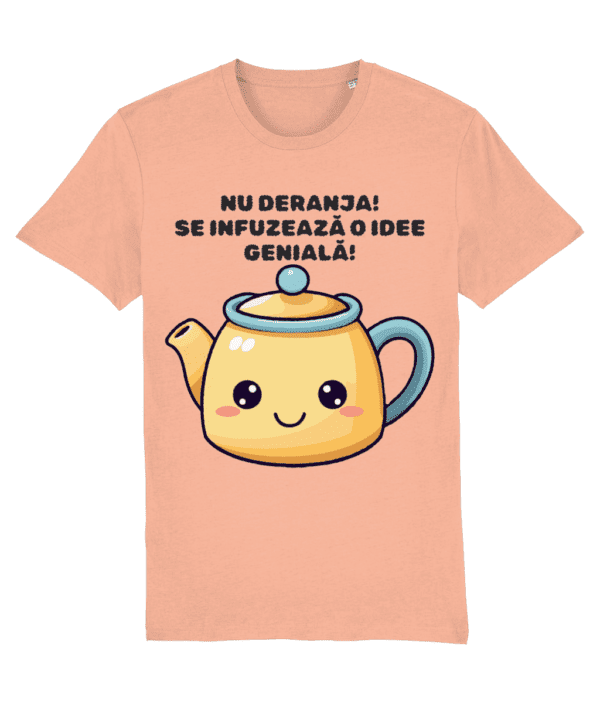 Tricou Barbati Nu deranja! Se infuzeaza o idee geniala